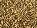 biomass-20